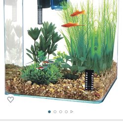 Small Frameless 2.7 Gallon Aquarium Betta Etc 