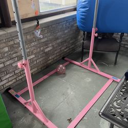 Pink Gymnastics Bar 