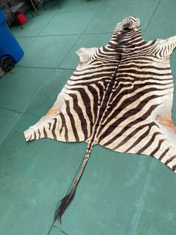 Zebra Rug original