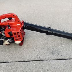 Commercial Gas Blower 