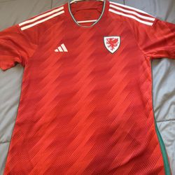 Wales Home World Cup Jersey 2022