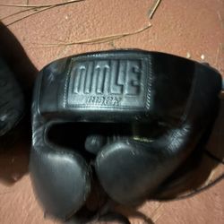 Title Boxing Headgear