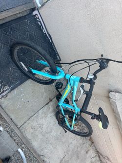 Liv kids 7 speed bike