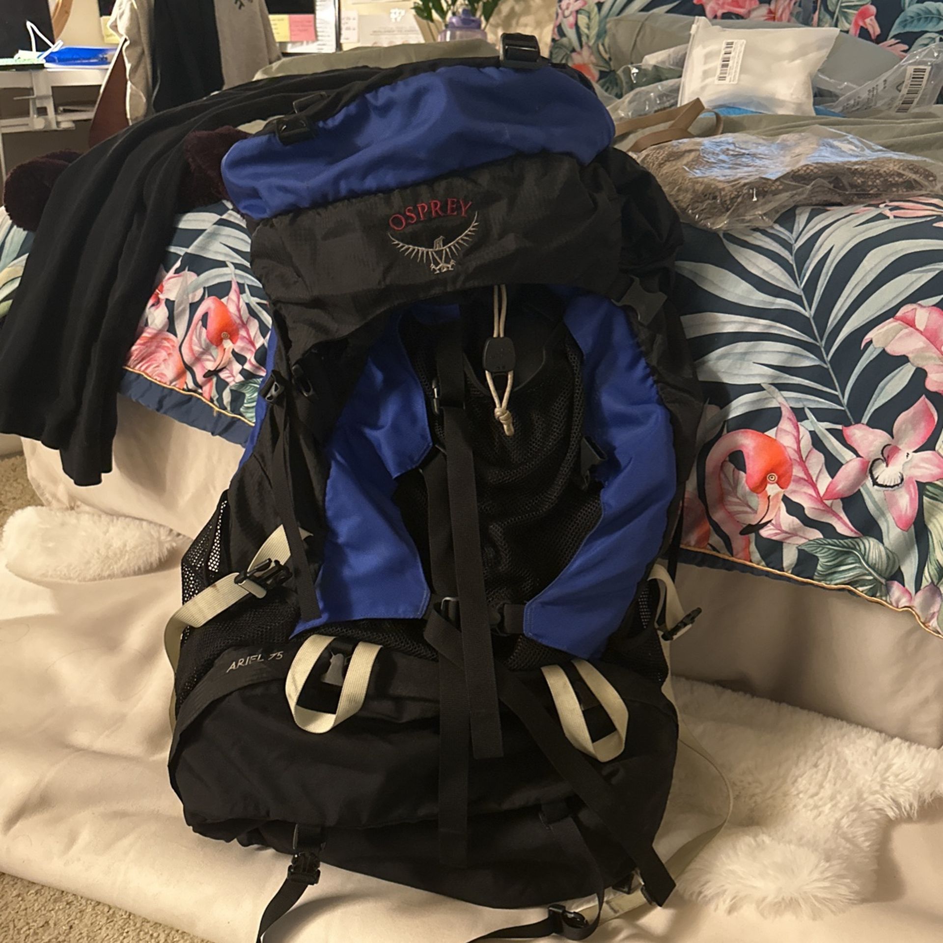 Osprey Ariel 75 Women’s Backpacking Backpack