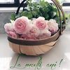 Adria