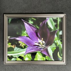 4 Pictures Frames Set Decorative 