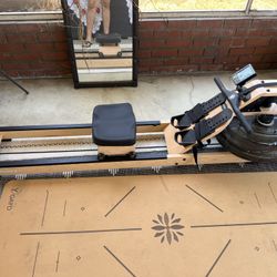 First Degree Fitness Viking 2 Fluid Rower Rowing Machine