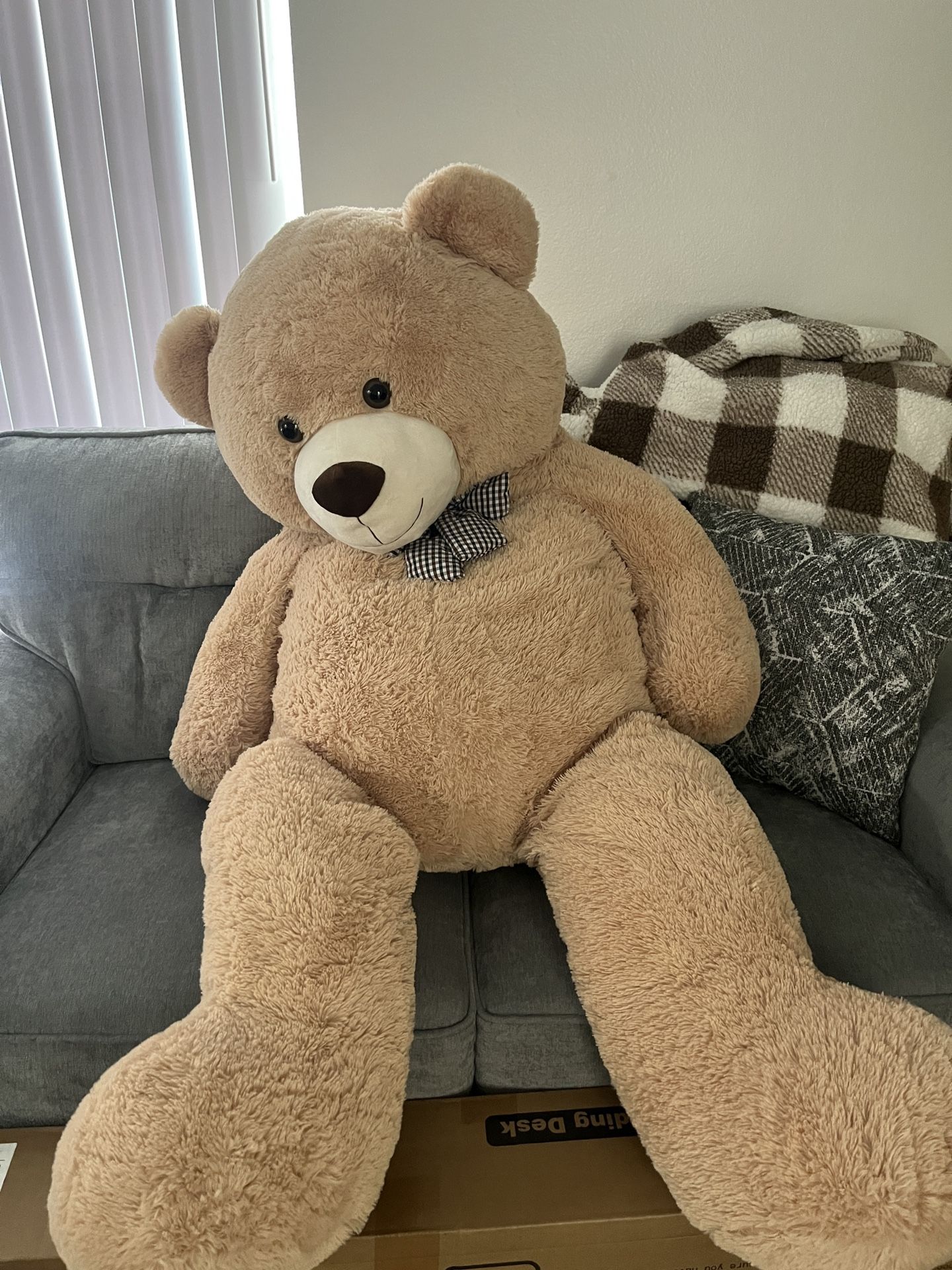 Brown Plushy Bear