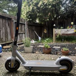 Segway Ninebot Scooter 