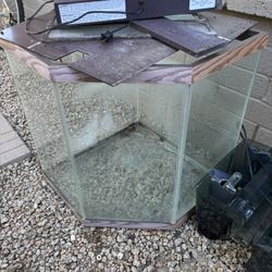 40 Gallon Corner Fish Tank