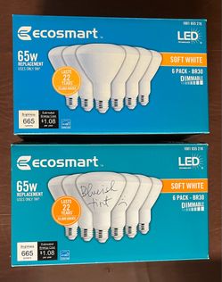 EcoSmart Indoor Flood Lights BR30