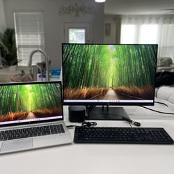Laptop + Docking Station + Monitor + Mouse