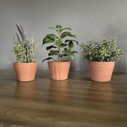 Mini Fake Plant