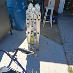 Warner 12"Foot Foldable Ladder