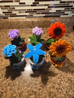 Cute pot plants for sale