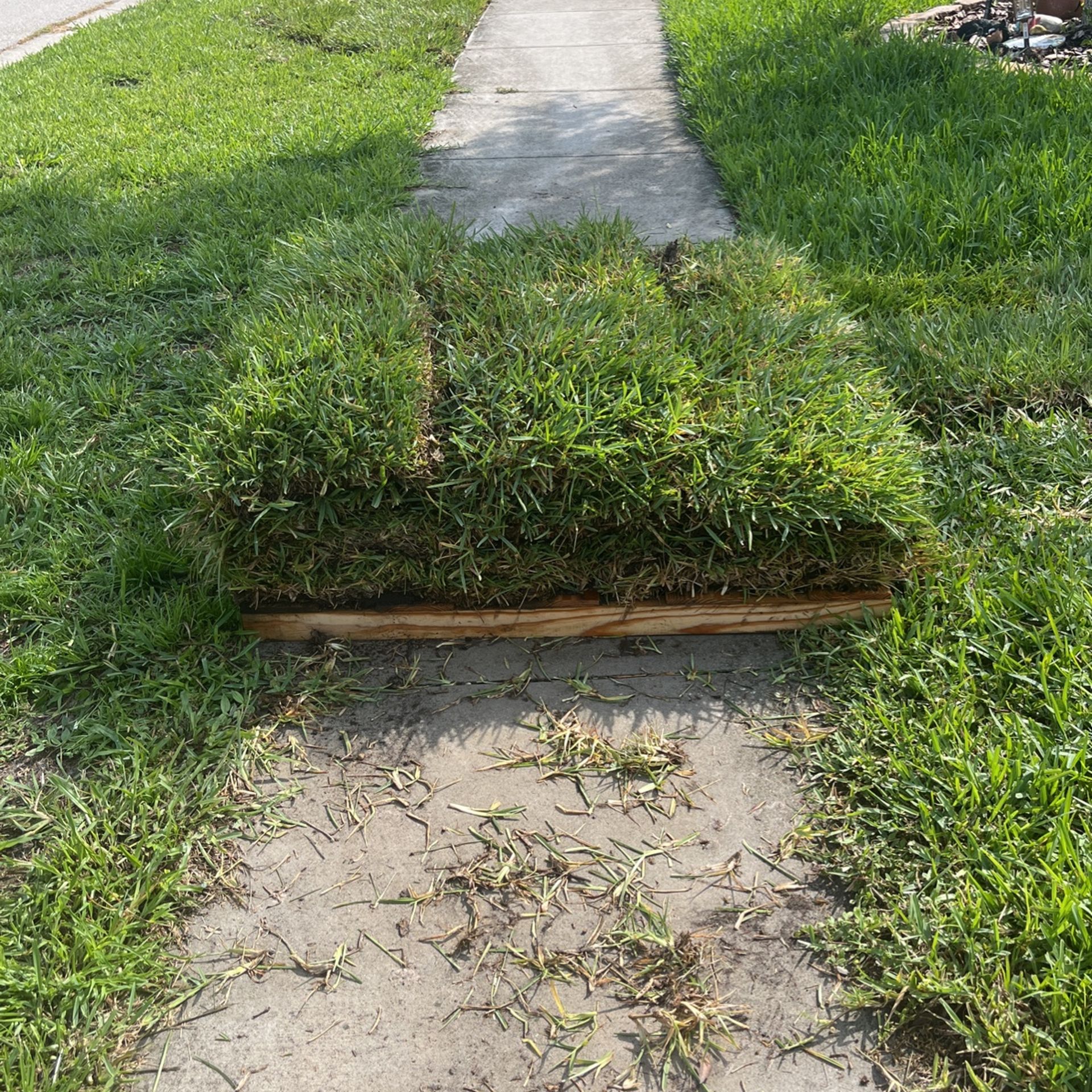 sod-st-augustine-for-sale-in-lake-helen-fl-offerup