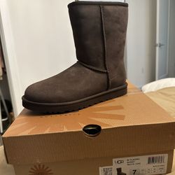 Women Ugg Boots (brown)