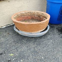 Cement Pot planter 