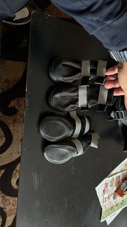 Dog shoes
