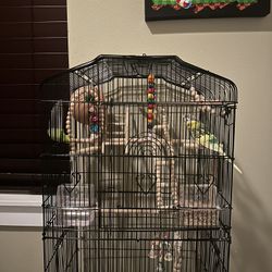 parrots with a cage and toys