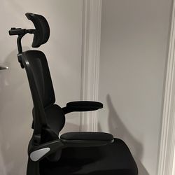 Ergonomic Office Chair