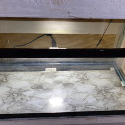 Pecera De 50 Gal  Con 5 —ángeles Esta Buen Estado 165
