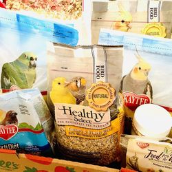 Bird Food