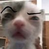 jon