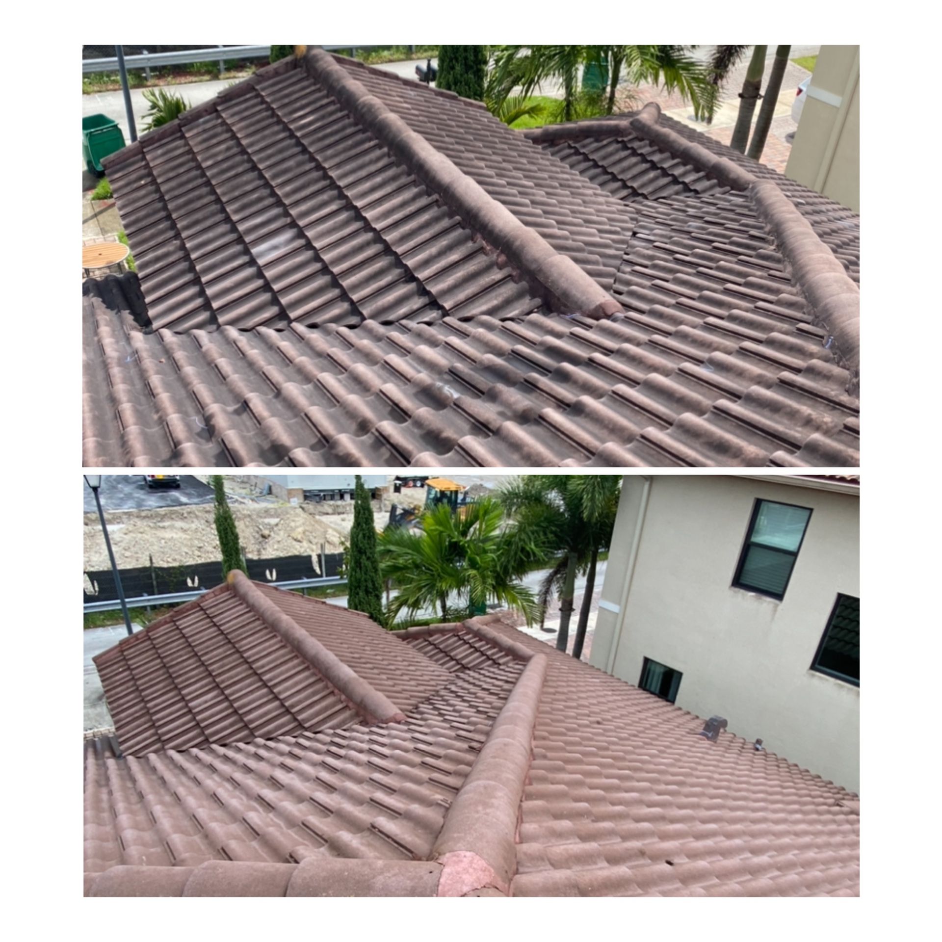 Roof Cleanings