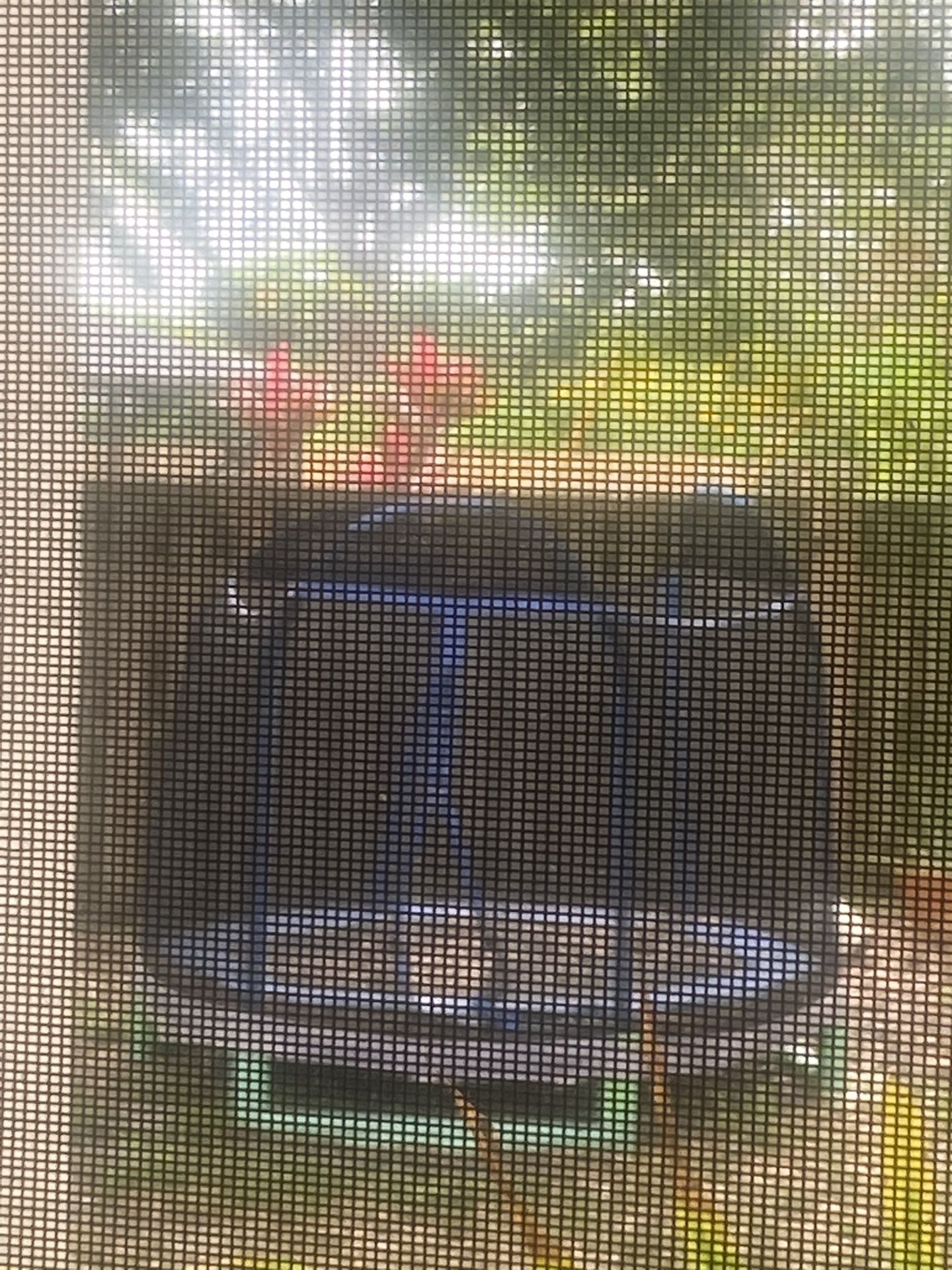 Trampoline