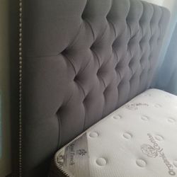 Queen Bedframe And Mattress 