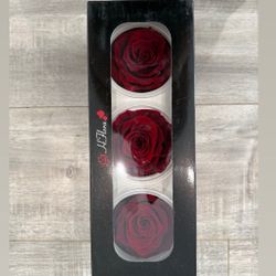 Luxury Preserved Roses – Lasts 3–5 Years 