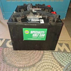 2 Golf Cart Batteries
