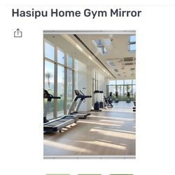 Hasipo home gym mirrior