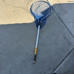 Fishing That Brand New 20 Bucks