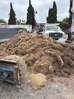 Dirt