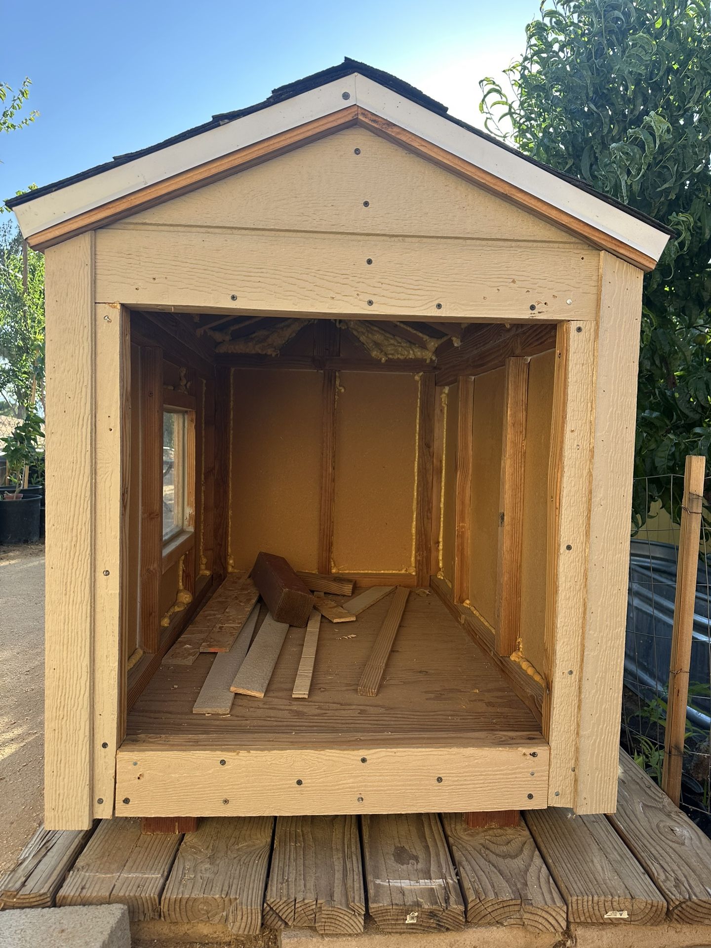 Dog House, Casa De Perro