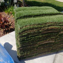 Sod / Grass For Sale. Marathon, Tifgreen, St. Augustine