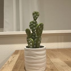 Small Potted Plant (fake)