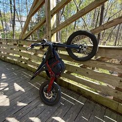 Ionc alpha pro e-bike