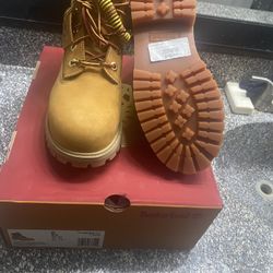 Timberland X Dtlr