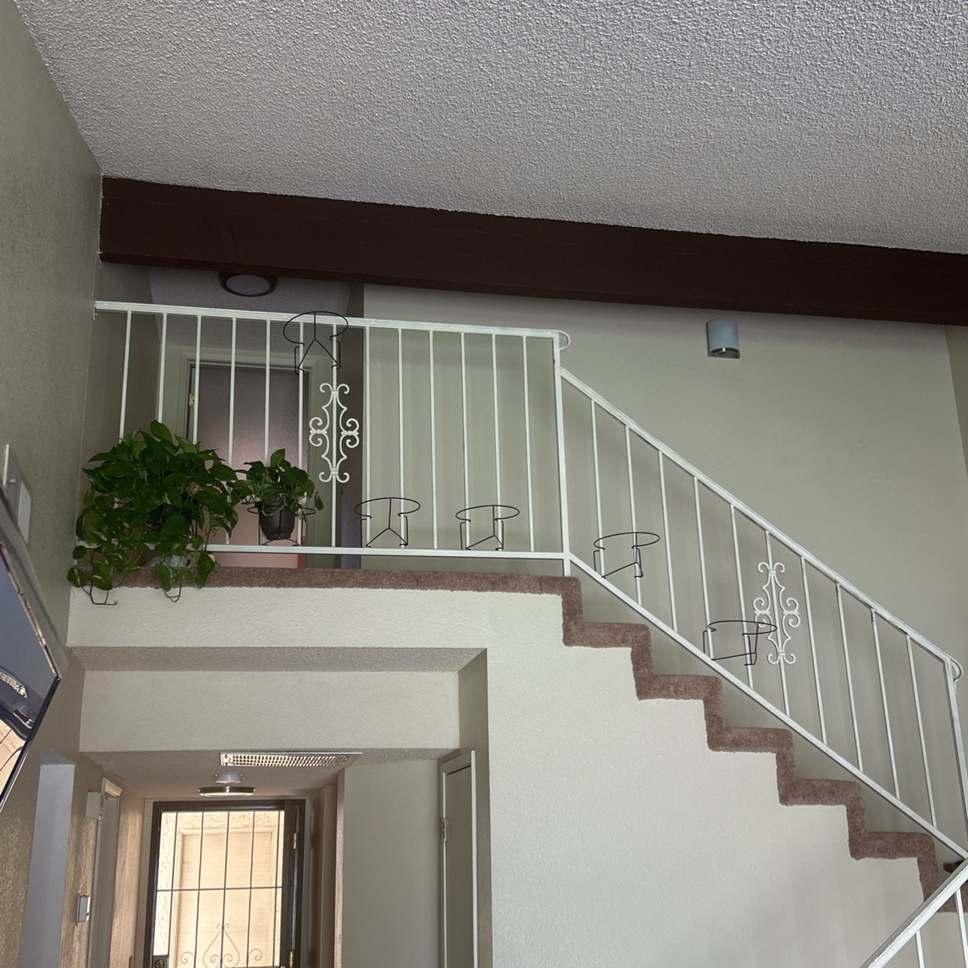 3 Plant Hangers Hanging Plants Railscapes