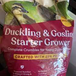 Duckling Food