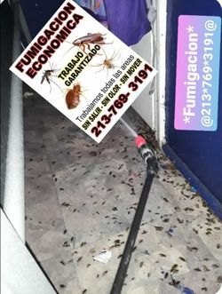 JuanMatafumiga Economico Garantizado