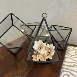 Succulent Terrariums 