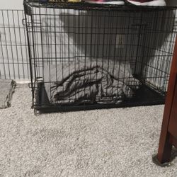 Dog Kennel