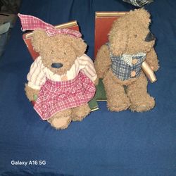 Teddy Bear  Book Ends