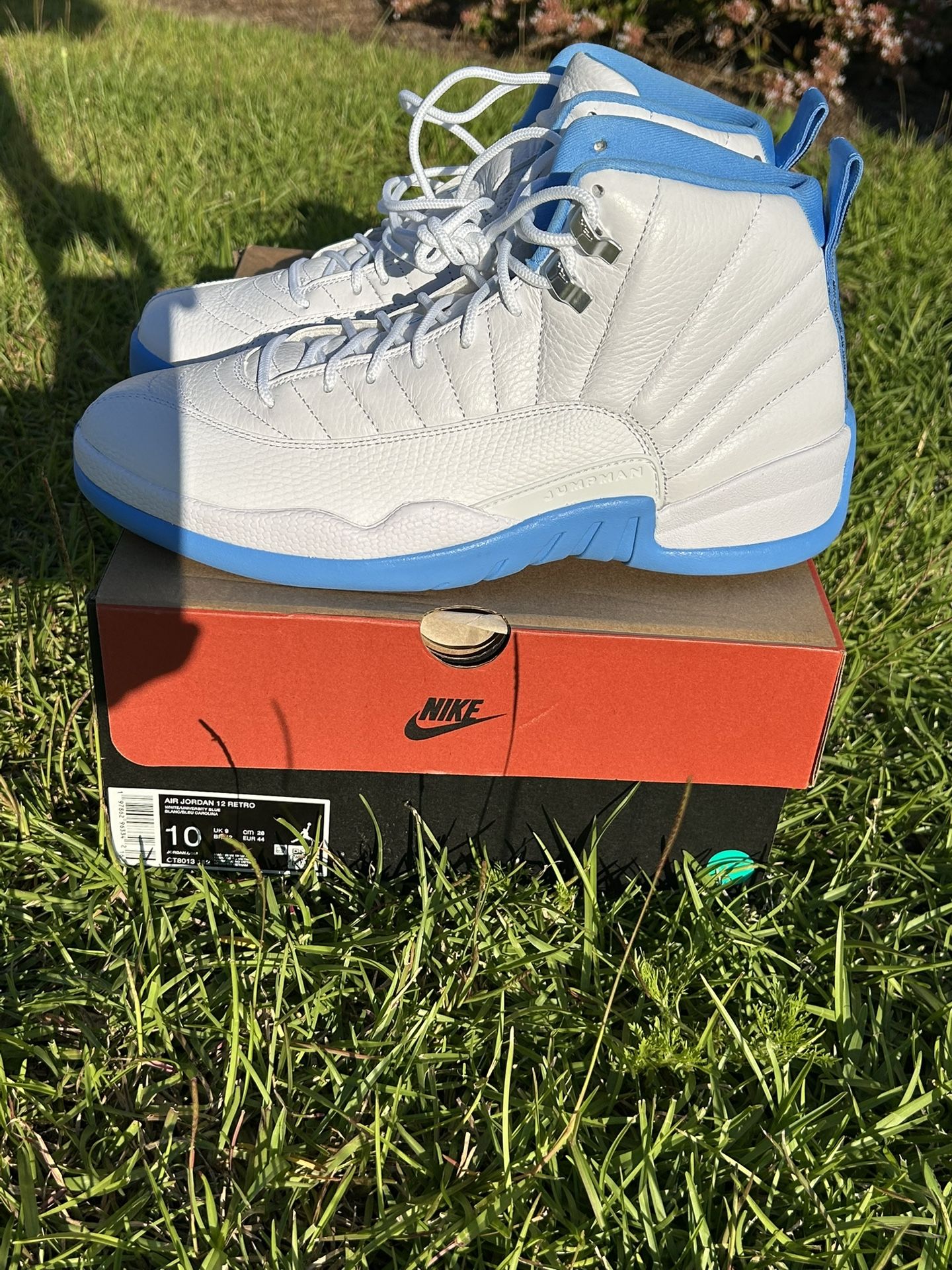 Jordan Retro 12 Melo