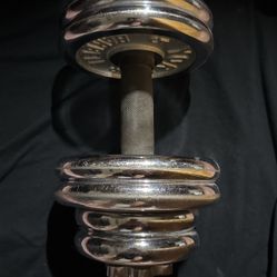 30-40 LBS Dumbbell