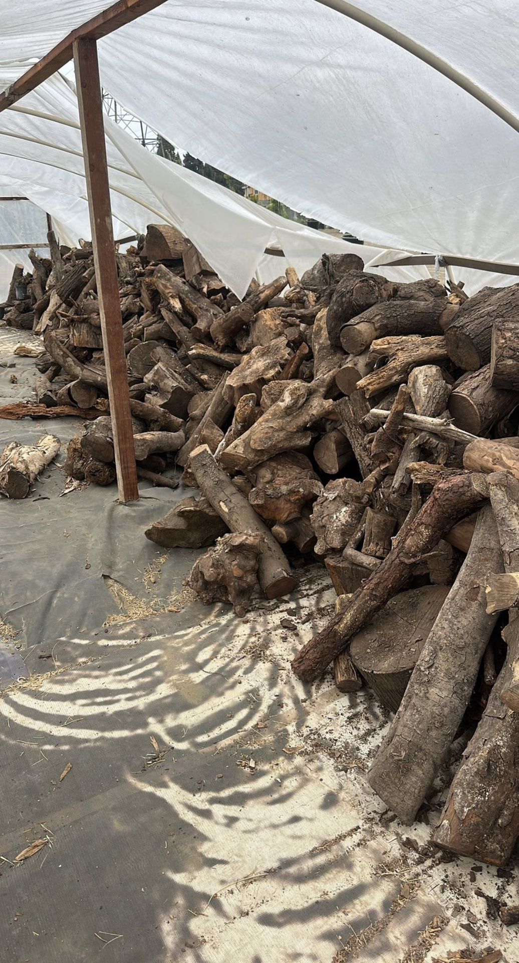 Firewood